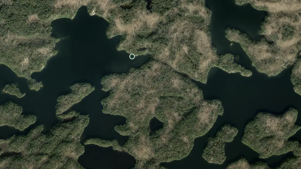 Aerial view of Massassauga Provincial Park - Spider Lake Campsite 3 and surroundings