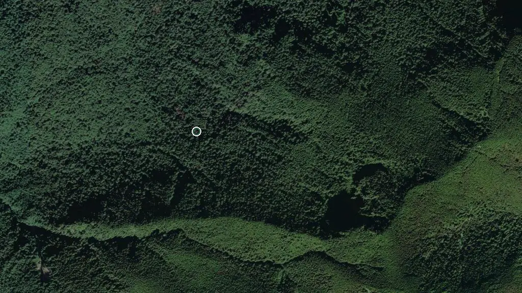Aerial view of Cultus Lake Provincial Park and surroundings