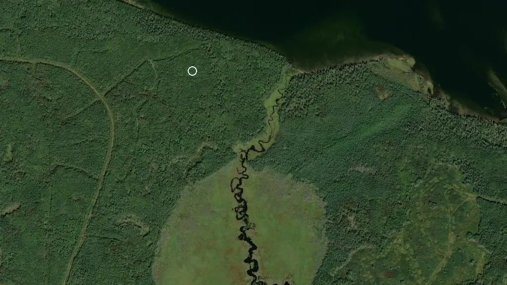 Aerial view of Nesslin Lake Campground and surroundings