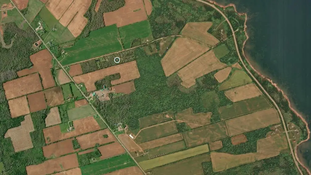 Aerial view of The Oasis Resort and surroundings