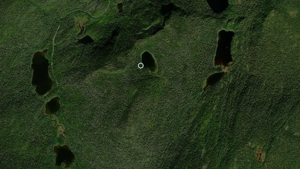 Aerial view of Parc national de la Gaspésie and surroundings