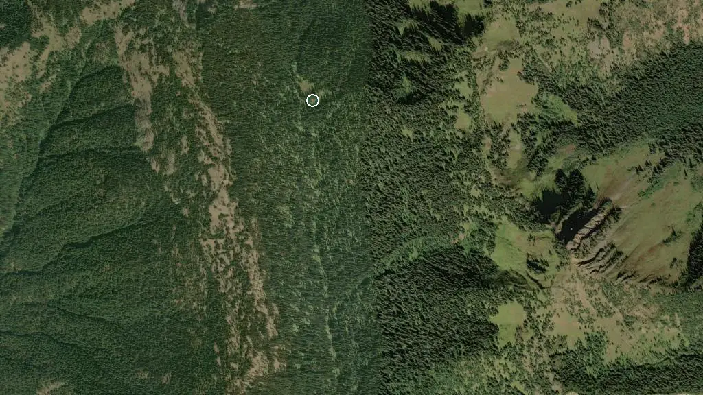 Aerial view of Mowich Campground and surroundings