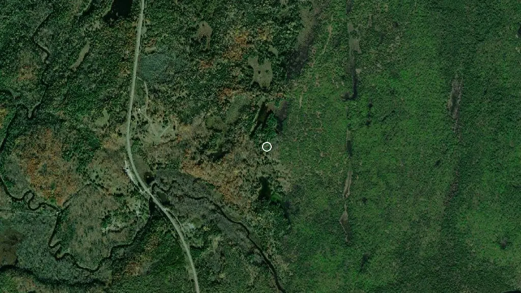 Aerial view of Sugar Shack and surroundings