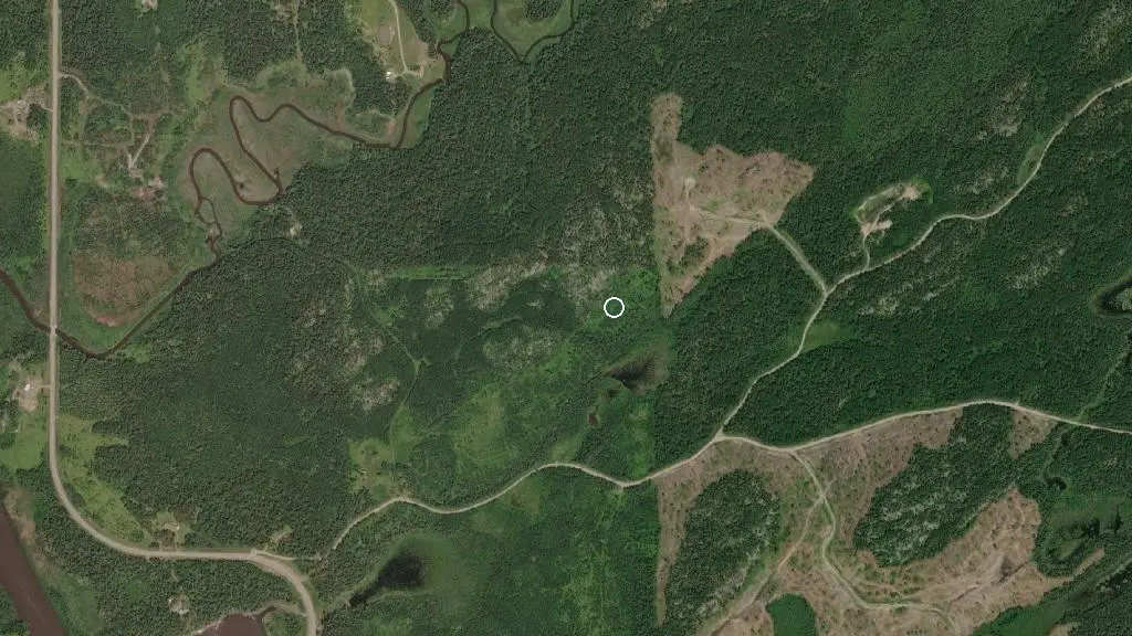 Aerial view of Birch Dale Lodge and surroundings