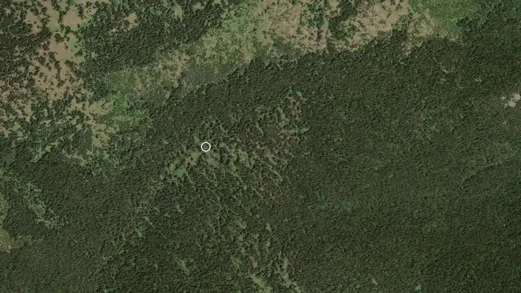 Aerial view of Buckhorn Backcountry Campsite - E.C. Manning Provincial Park and surroundings