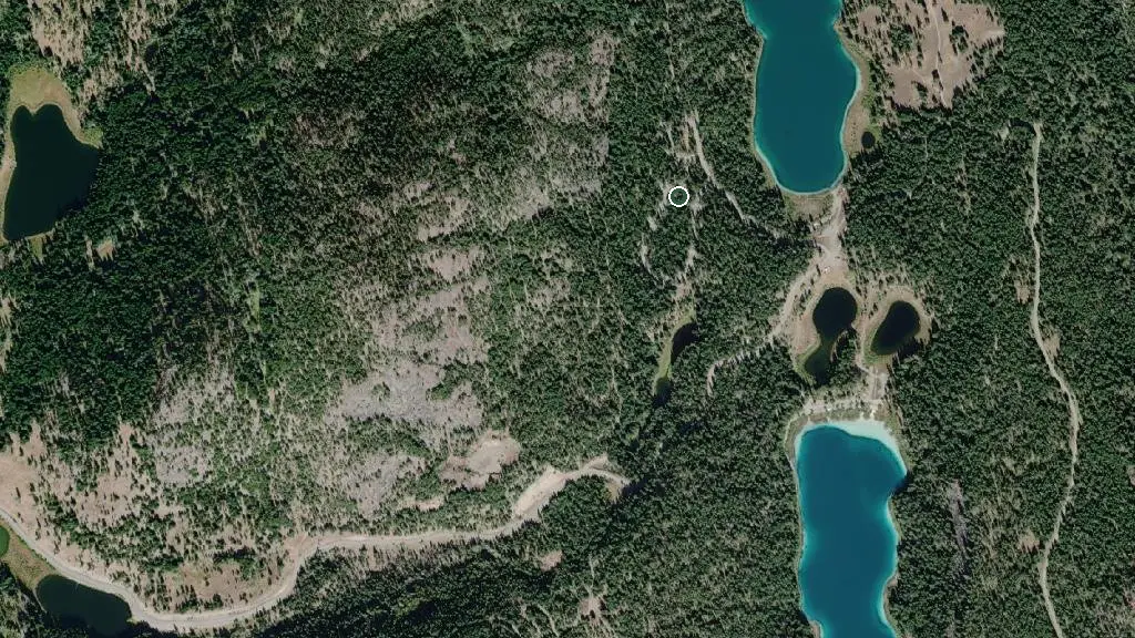Aerial view of Forest Loop Campground and surroundings