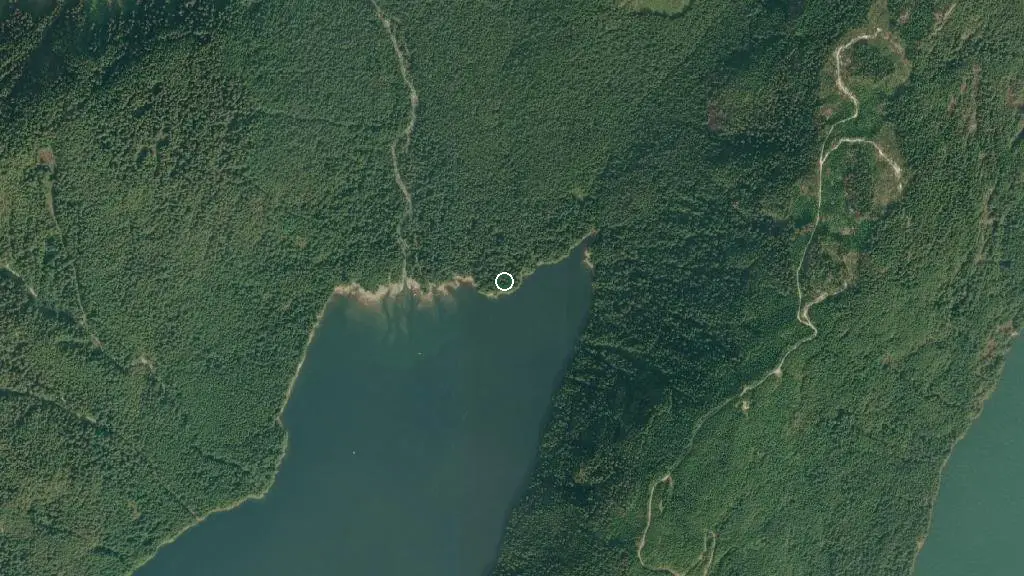 Aerial view of Alouette Cabin and surroundings