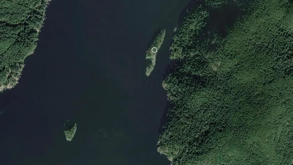 Island Pond