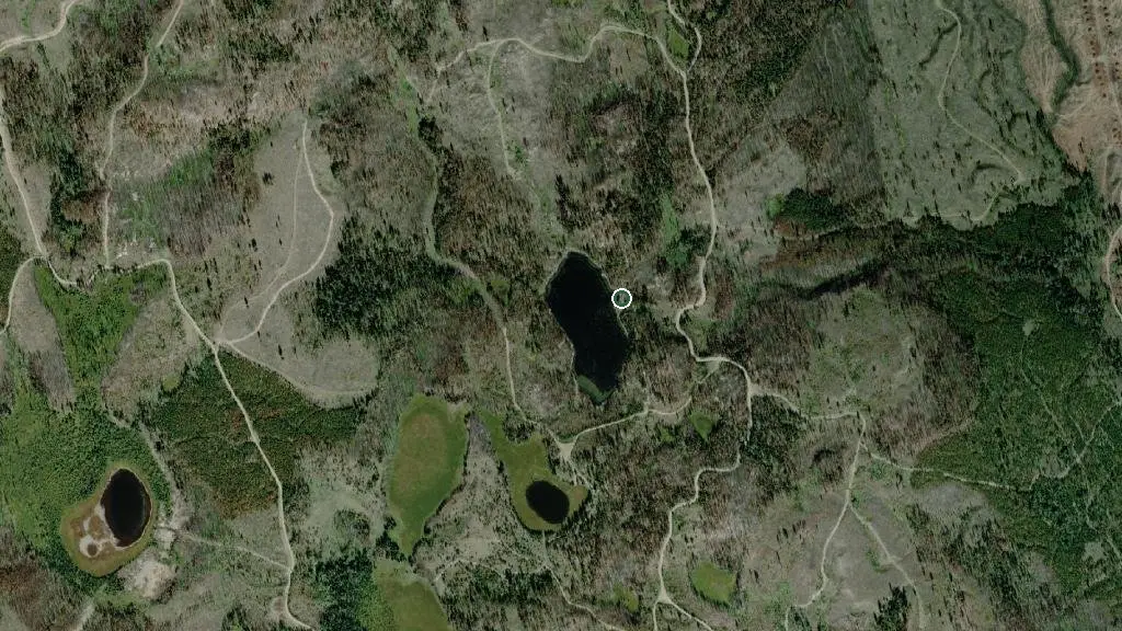 Aerial view of Bute Lake and surroundings