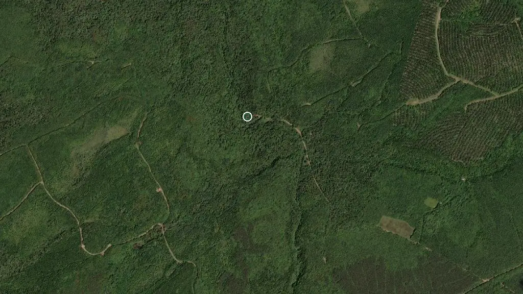 Aerial view of Eatonville Bunkhouse and surroundings