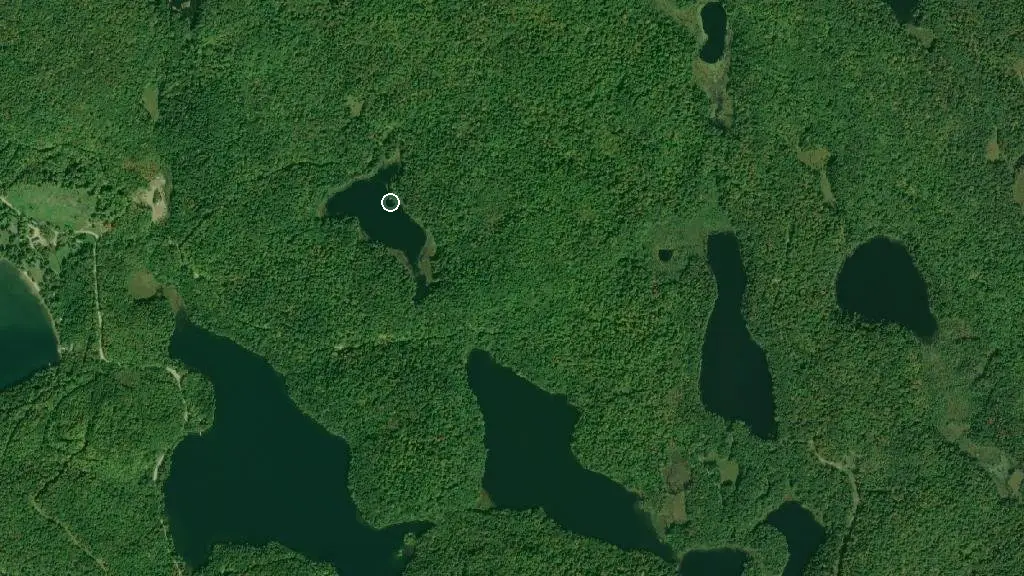 Aerial view of High Lake Campsite, Limberlost Forest and surroundings