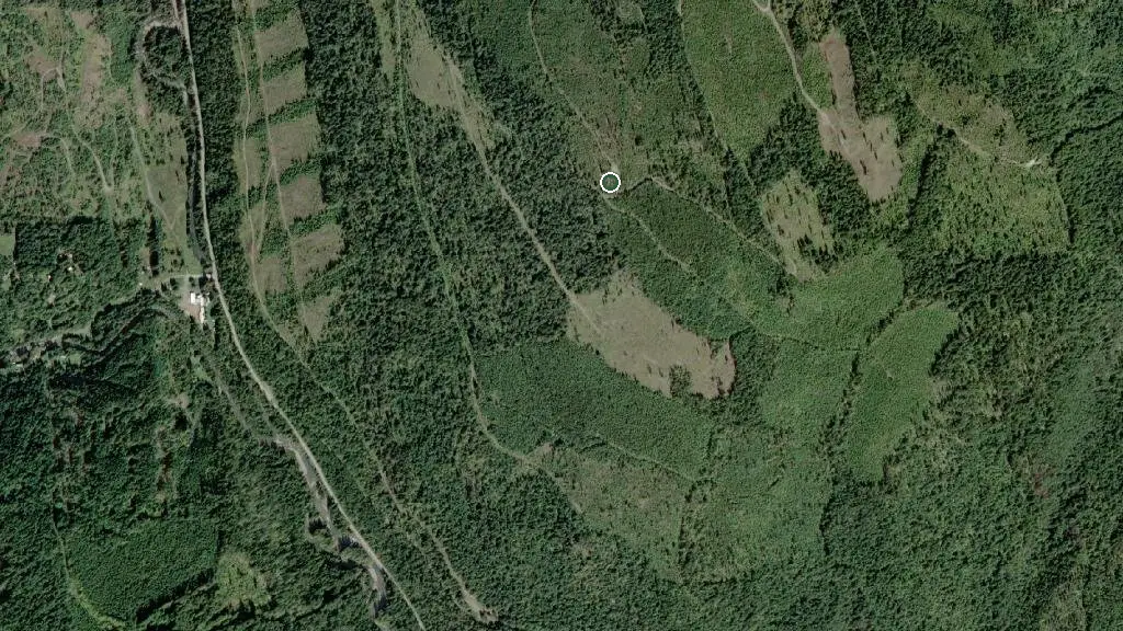 Aerial view of Bucky Cabin and surroundings