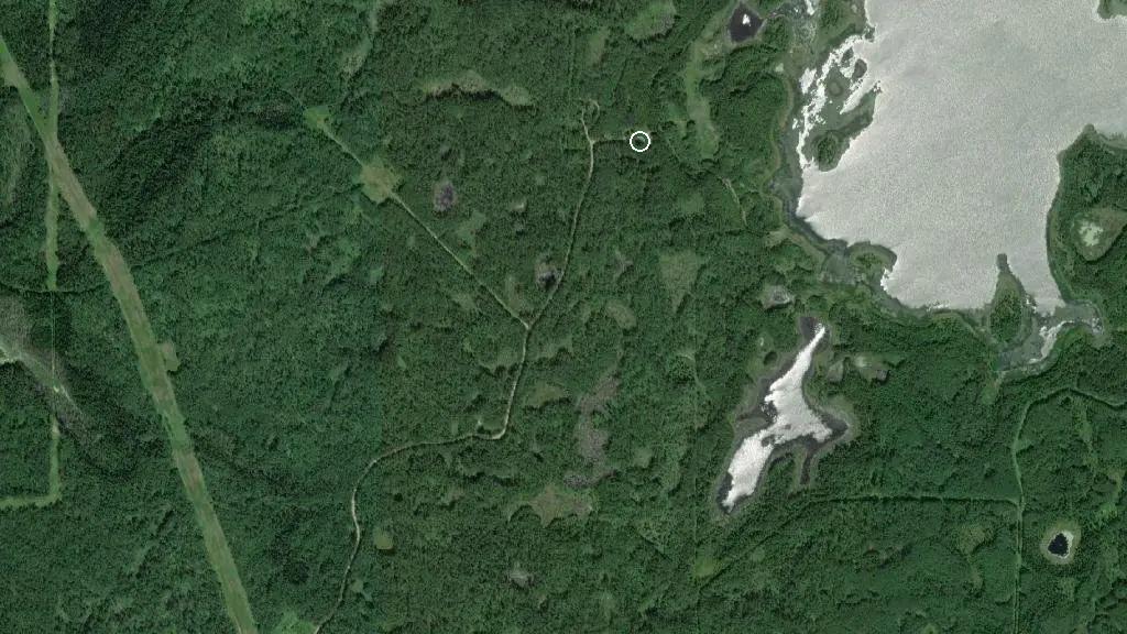 Aerial view of Island Lake Campground and surroundings