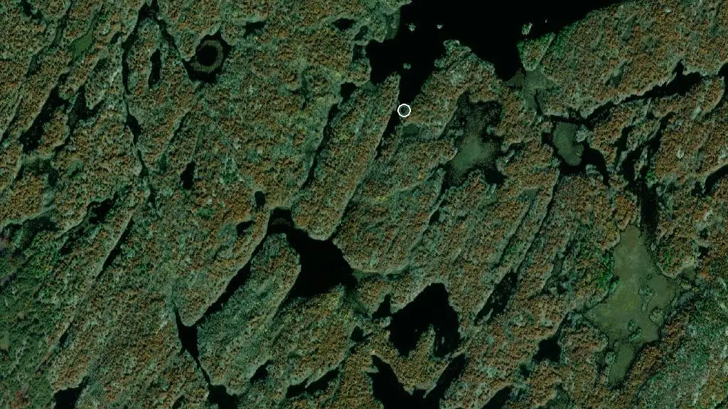 Aerial view of Backcountry Campsite #453 and surroundings