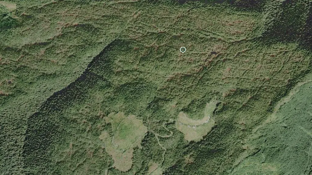 Aerial view of Tent Lake Cabin and surroundings