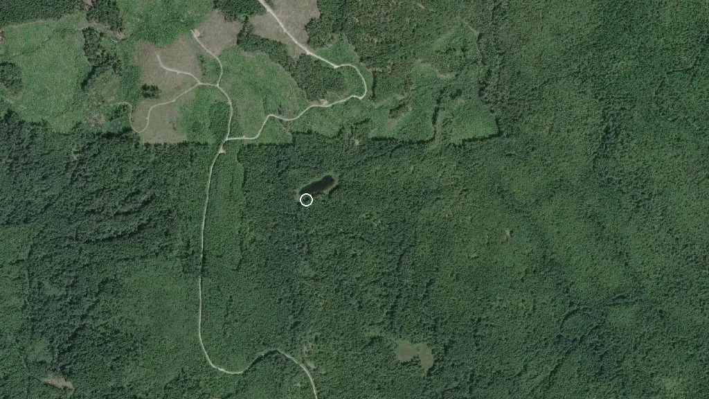 Aerial view of Rieveley Pond Hut and surroundings