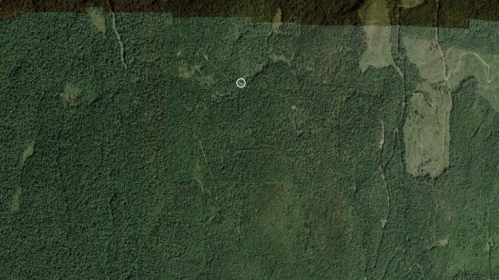 Aerial view of Cec's Cabin and surroundings