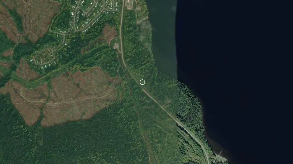 Aerial view of Lions Beach and surroundings