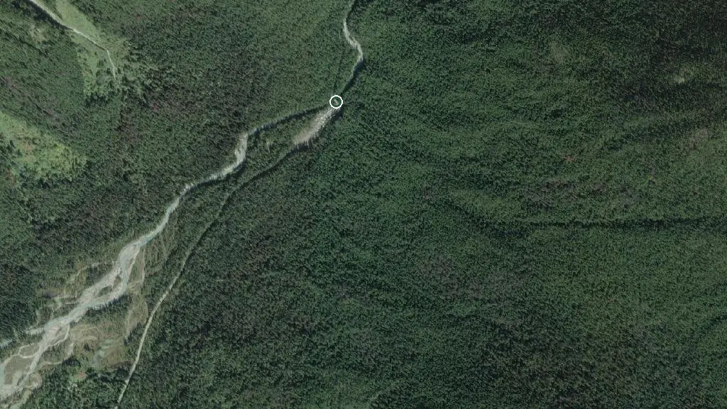 Aerial view of Berg Lake Trail and surroundings