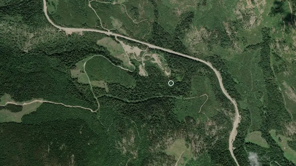 Aerial view of Booty's Cabin and surroundings