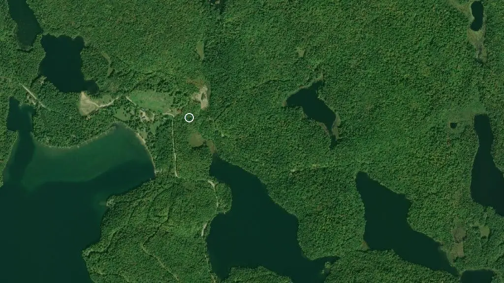 Aerial view of Buck North 1, Limberlost Forest and surroundings