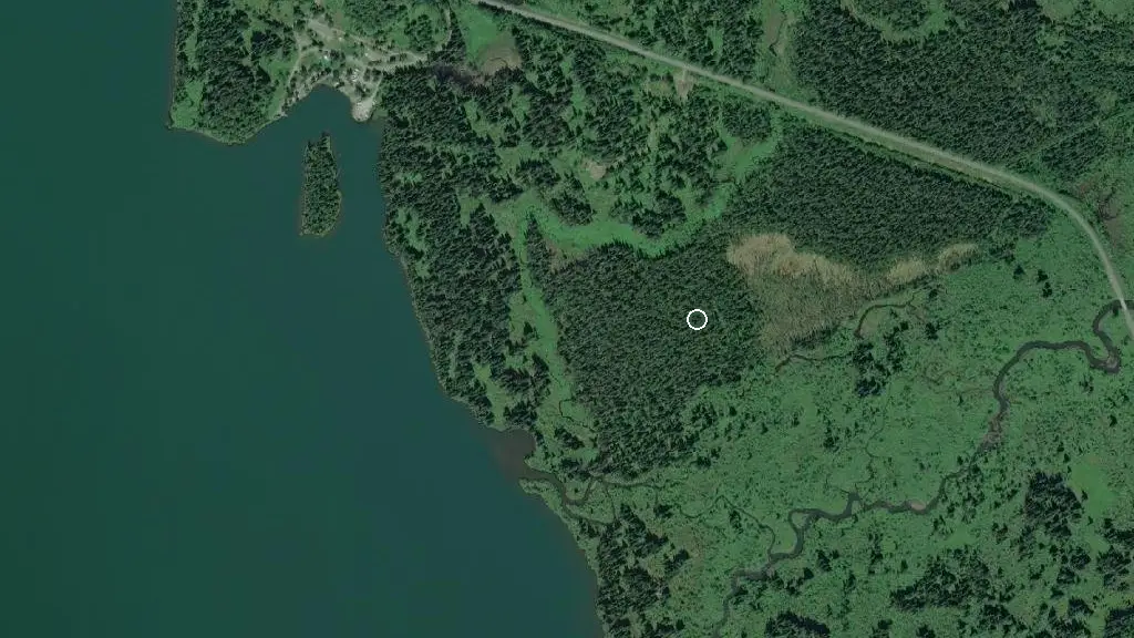 Aerial view of Meziadin Lake Provincial Park and surroundings