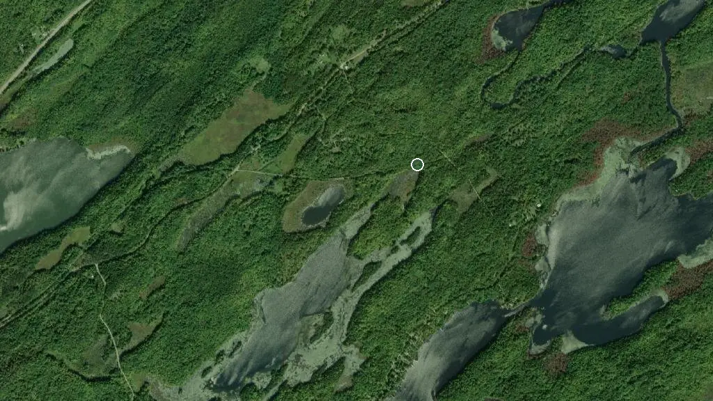 Aerial view of Woodland Park-Arden and surroundings