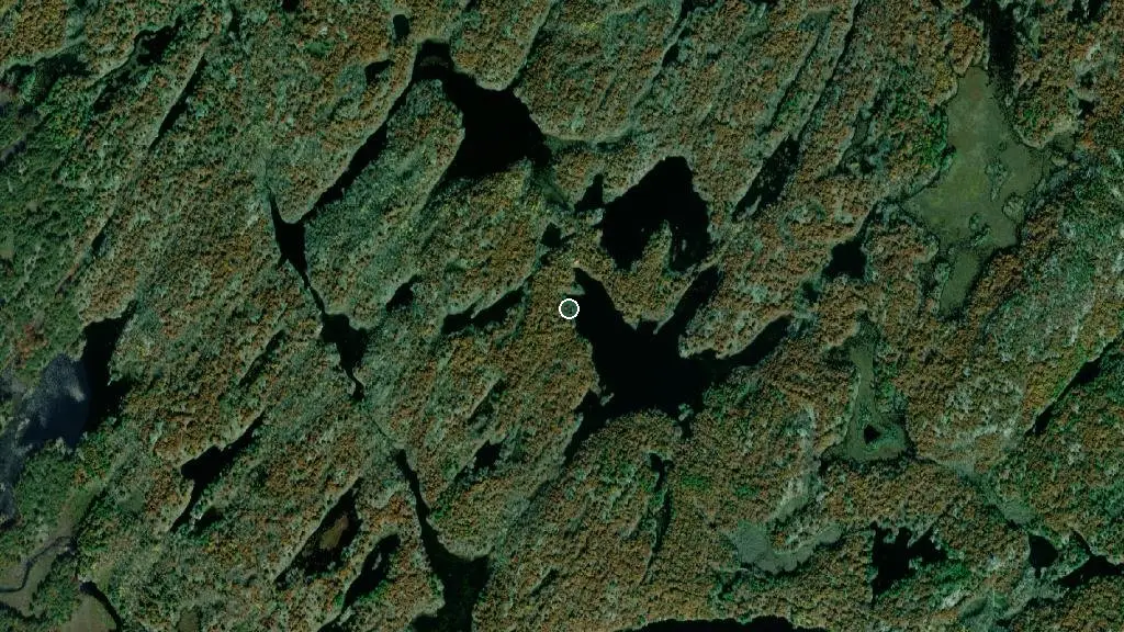 Aerial view of Backcountry Campsite #470 and surroundings