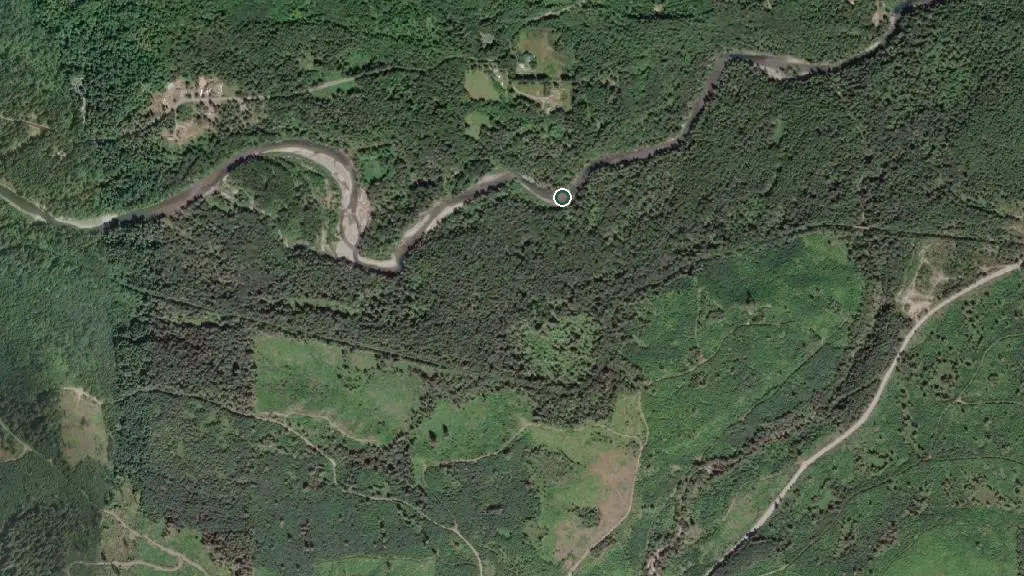 Aerial view of Cowichan River Provincial Park and surroundings