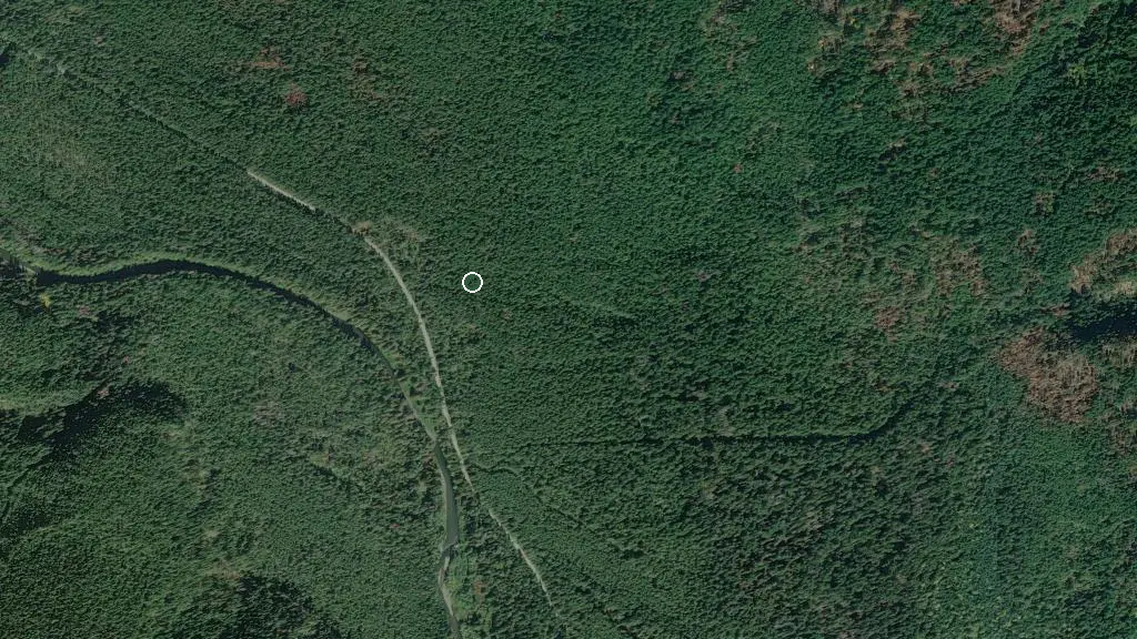 Aerial view of Skagit Valley Provincial Park and surroundings