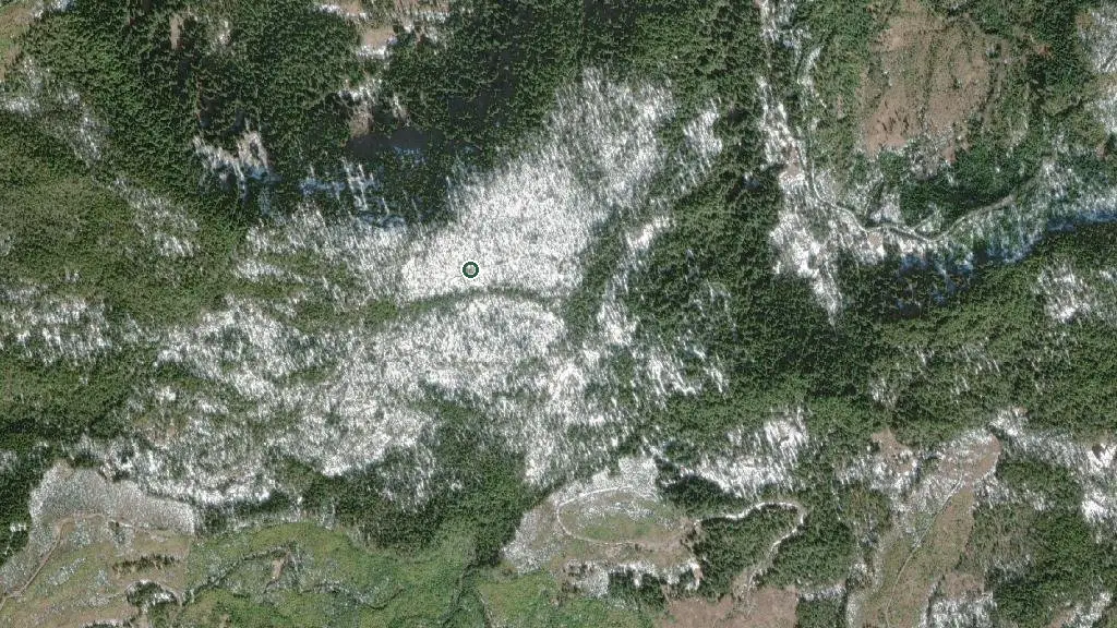 Aerial view of Blueberry Cabin and surroundings