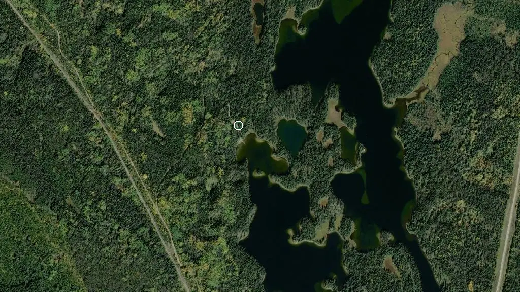 Aerial view of Pine Bay Campground and surroundings