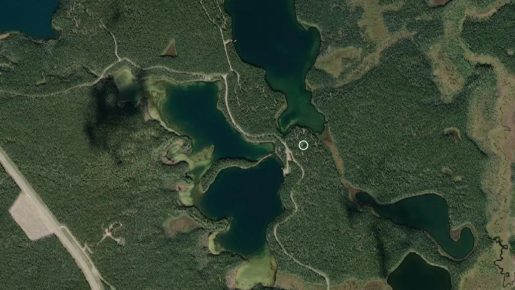 Aerial view of Pierre Grey's Lakes Provincial Park and surroundings