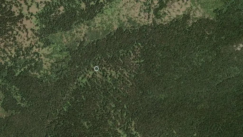 Aerial view of Bighorn Campground and surroundings