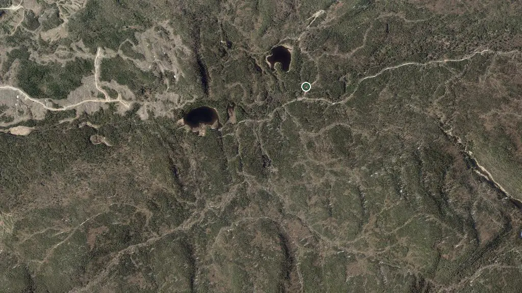 Aerial view of Coyote and surroundings