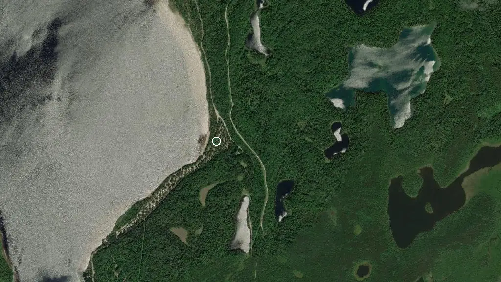 Aerial view of Ivanhoe Lake - Red Pine Campground and surroundings