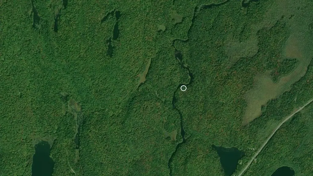 Aerial view of Oxtongue River - Ragged Falls Provincial Park and surroundings