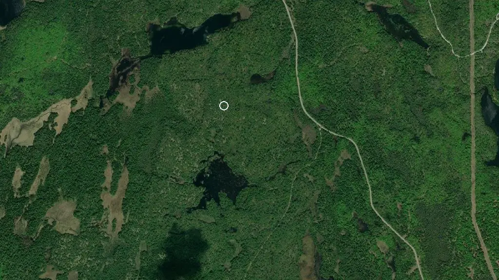 Aerial view of Bennett Cabin and surroundings