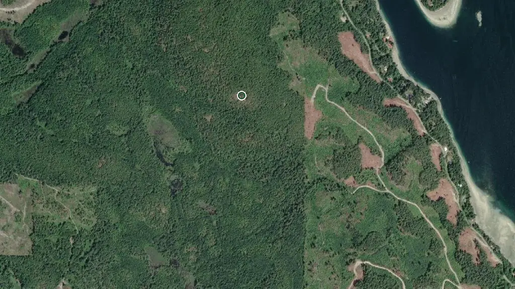 Aerial view of Manzanita Bluff Hut and surroundings