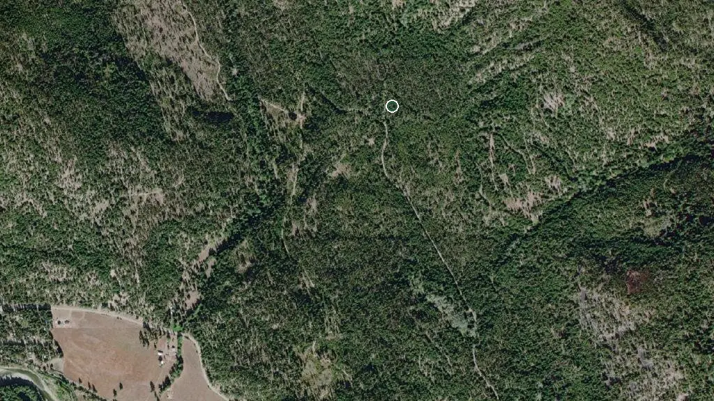Aerial view of Big Cat Ranch Campground and surroundings