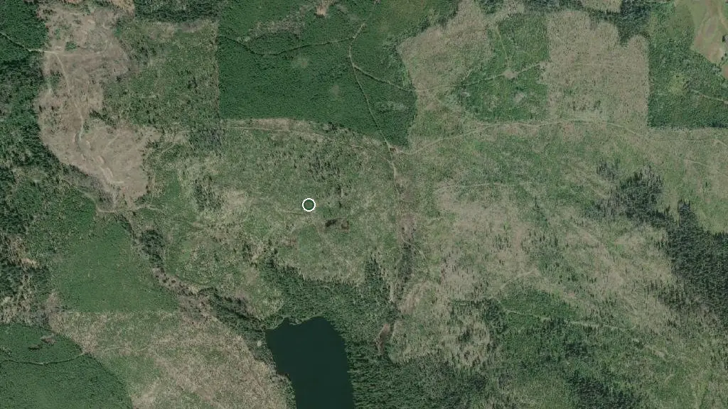 Aerial view of Canim Lake Resort and Guide Outfitters and surroundings