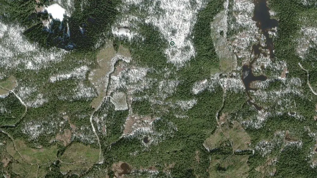 Aerial view of Meadow Cabin and surroundings