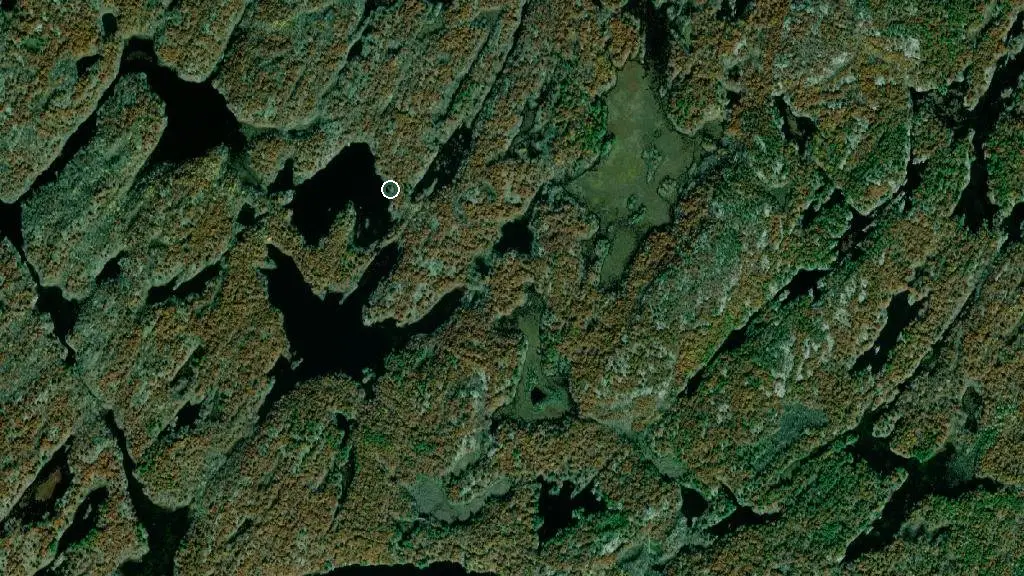 Aerial view of Backcountry Campsite #461 and surroundings