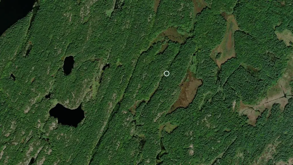 Aerial view of Charleston Lake Provincial Park and surroundings