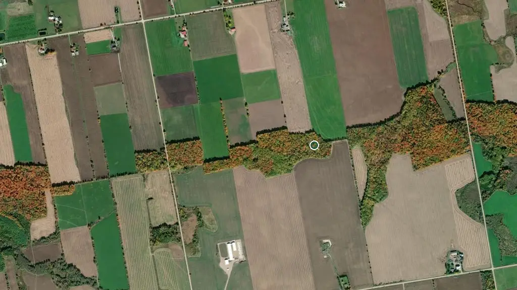 Aerial view of River Place Park and surroundings