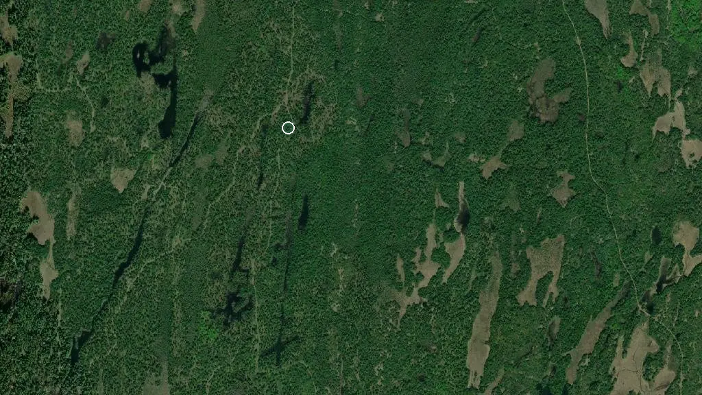Aerial view of Tanney Cabin and surroundings