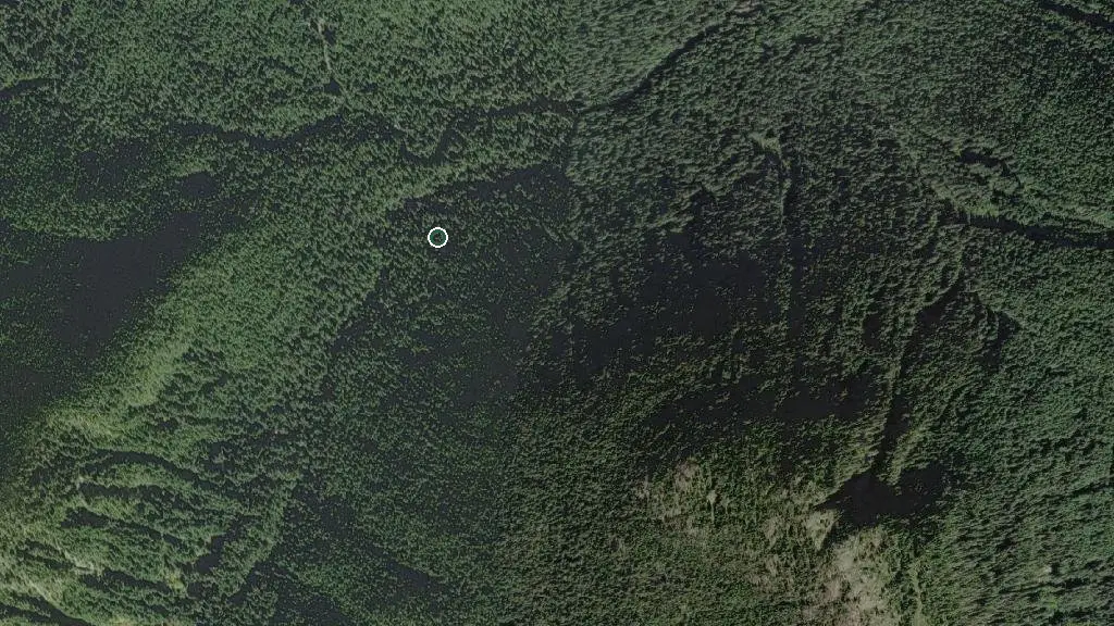 Aerial view of Strathcona Provincial Park and surroundings