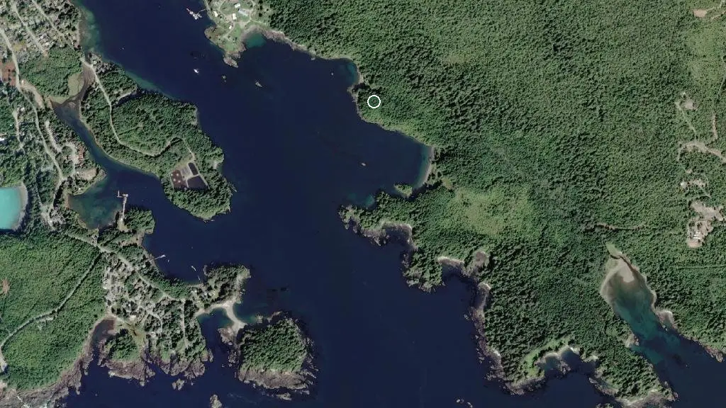 Aerial view of Kelp Forest Cove and surroundings