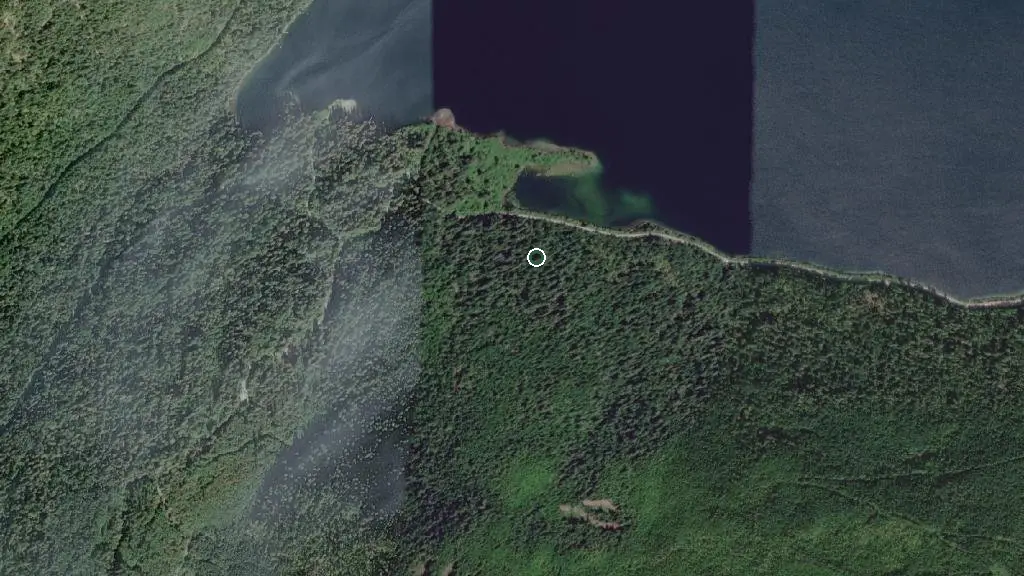 Aerial view of Little Qualicum Falls Provincial Park and surroundings