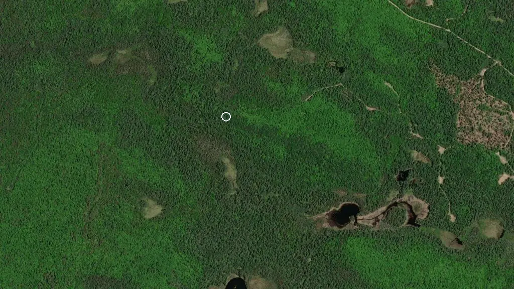 Aerial view of Algonquin - Rock Lake and Raccoon Lake and surroundings